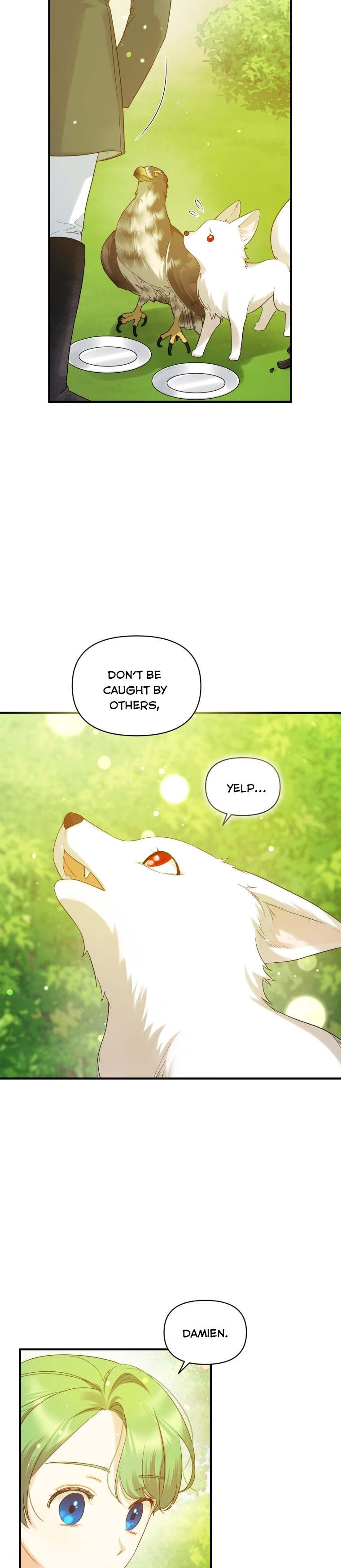 chap 18 19