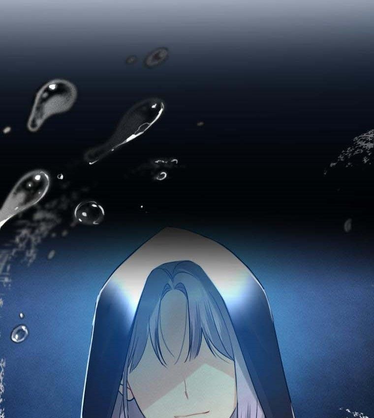 chap 24 47
