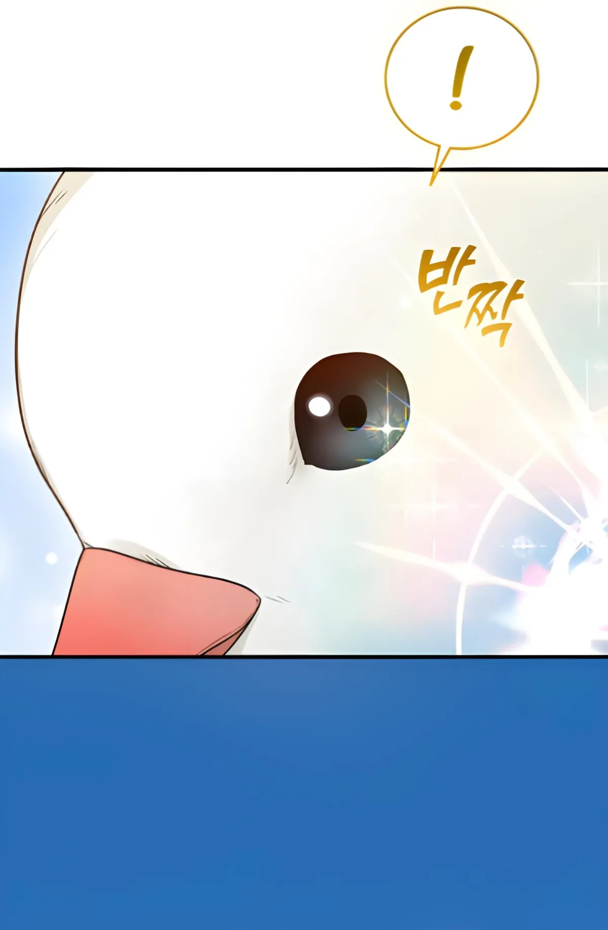 2b959a417cd8