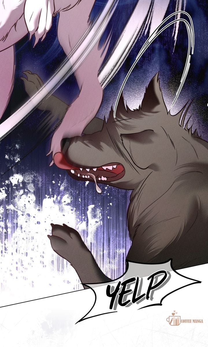 chap 36 18