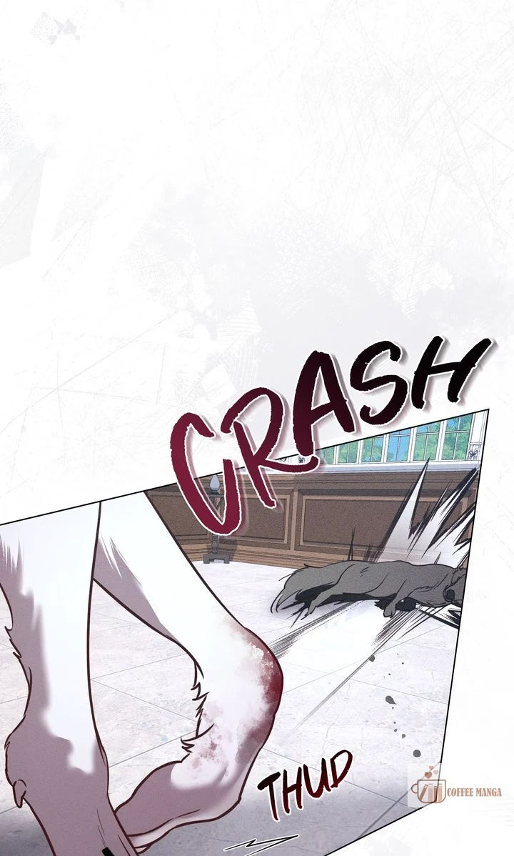 chap 36 19