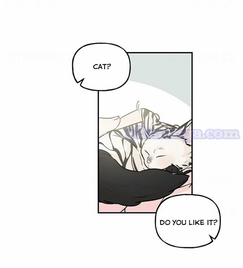 chap 15 58