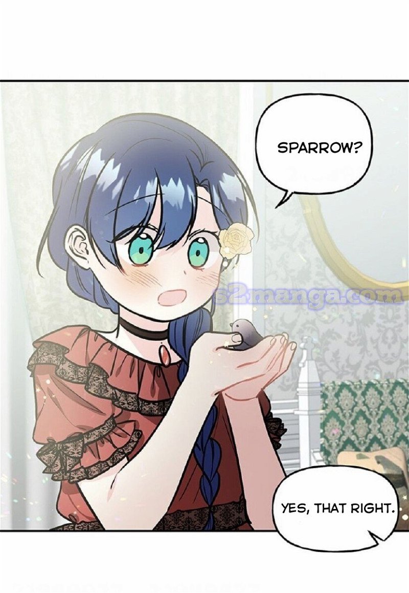 chap 15 60