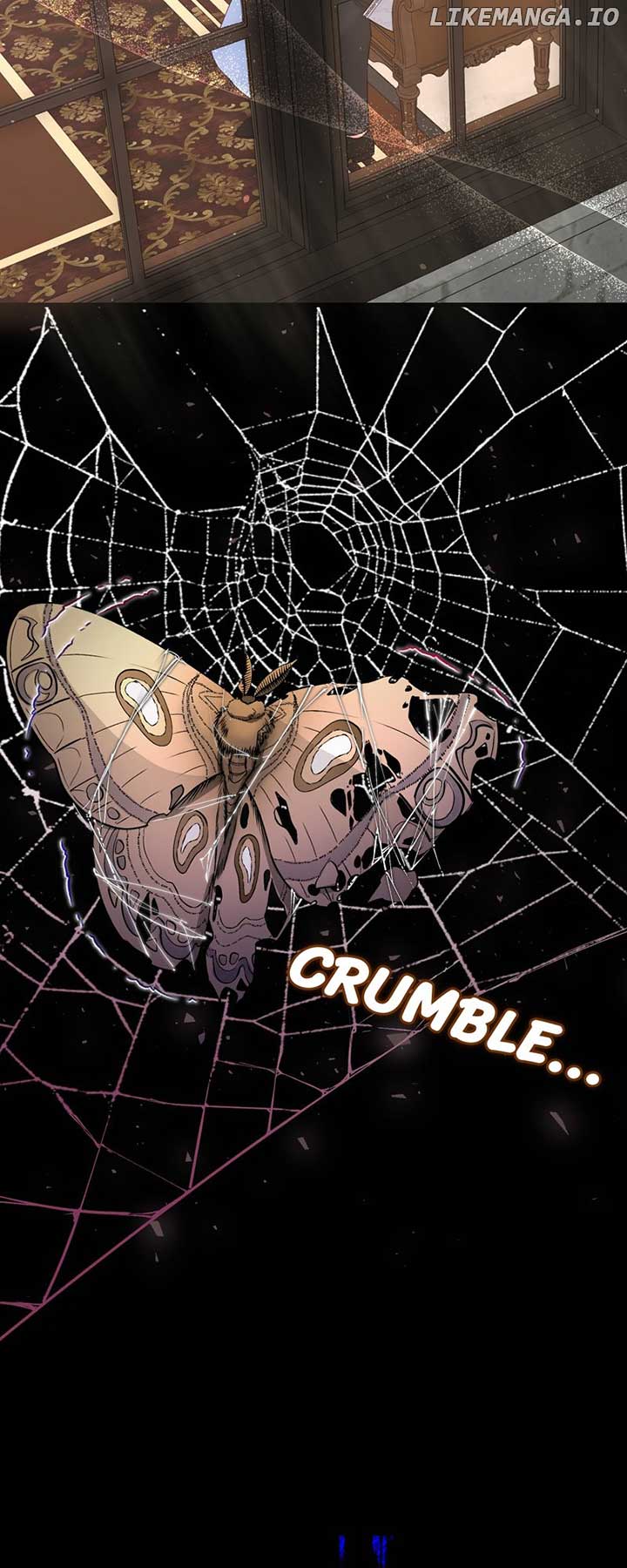 chap 4 56