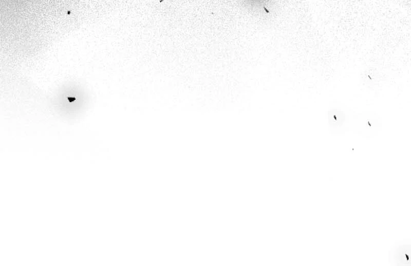 My Second First Marriage Chapter 53 273 35