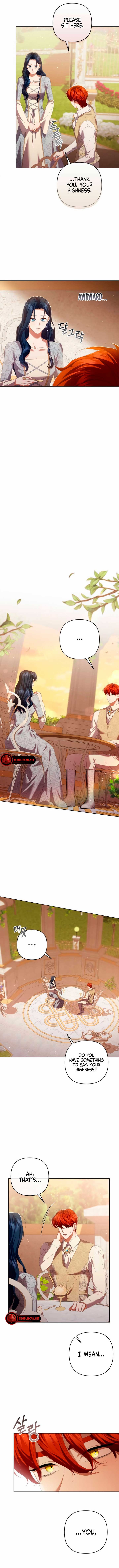 chap 23 12