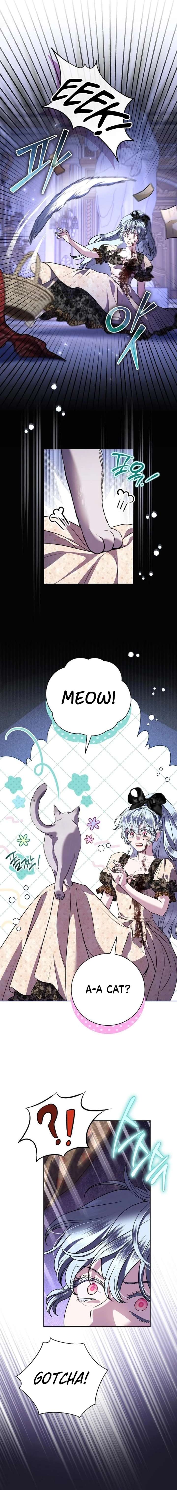 ch 107 7