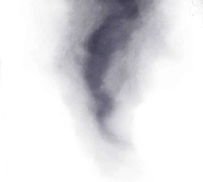 To My Husband’s Mistress Chapter 80 371 ch 80 22