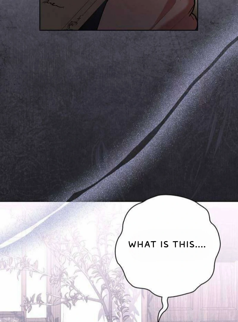 To My Husband’s Mistress Chapter 80 423 ch 80 74