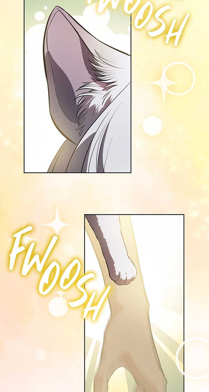 ch 84 77