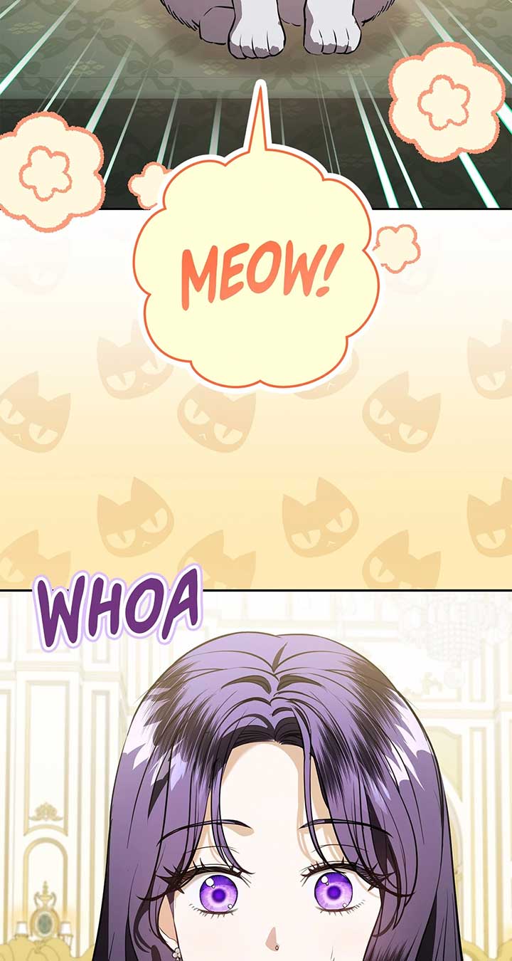ch 84 79