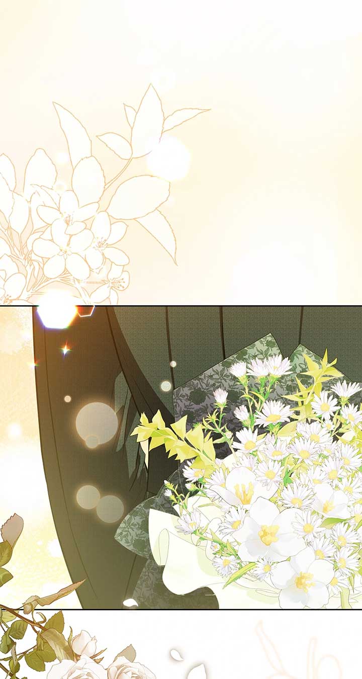 ch 85 15