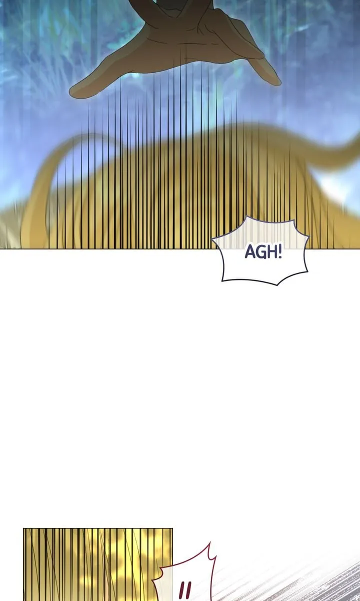 f82146fd268c