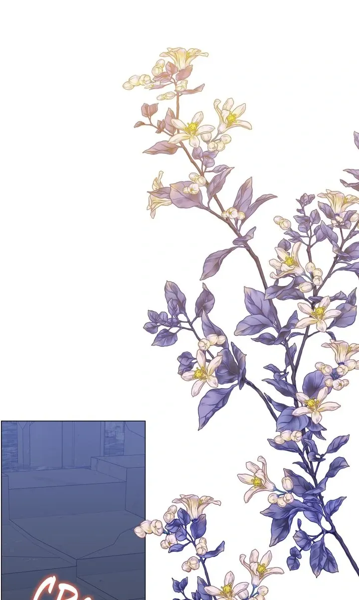 6fd9d286f488