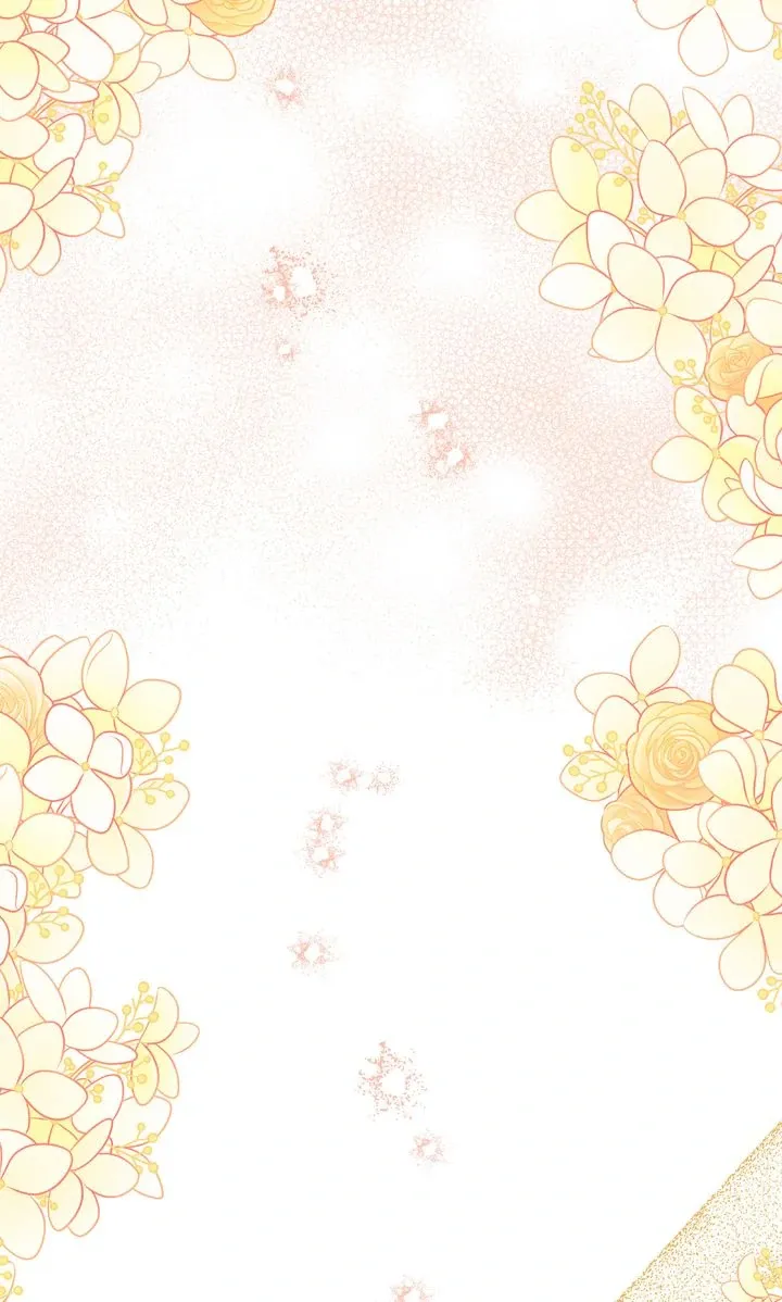 ff9565b446c6