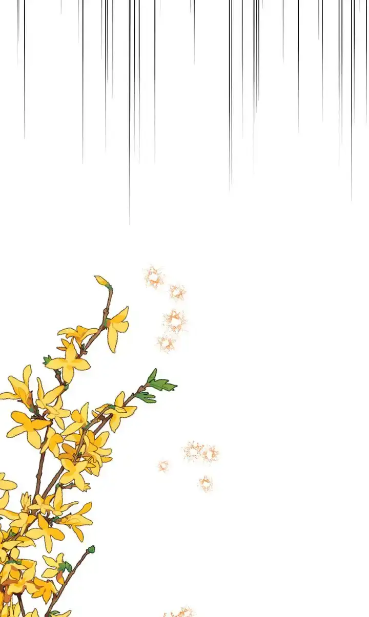 2a5290c74d52