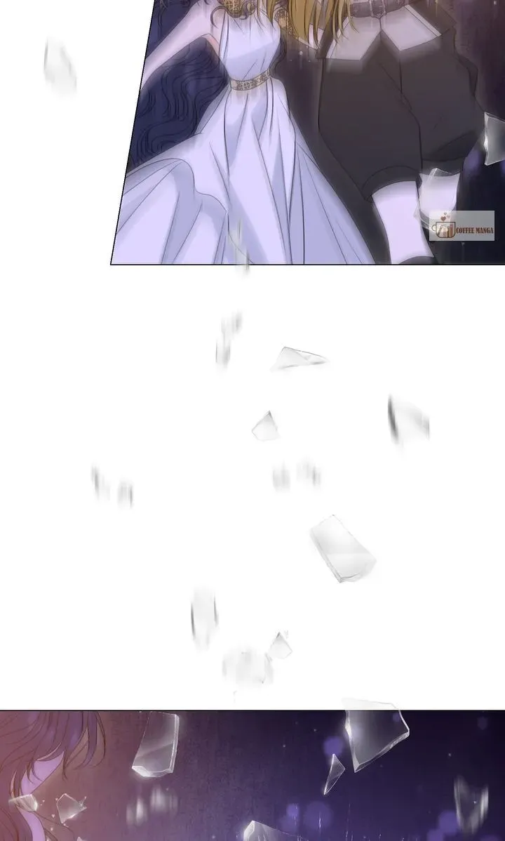 ce9c4446c51c