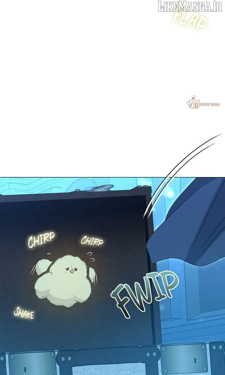 e6ccafd4ecd5