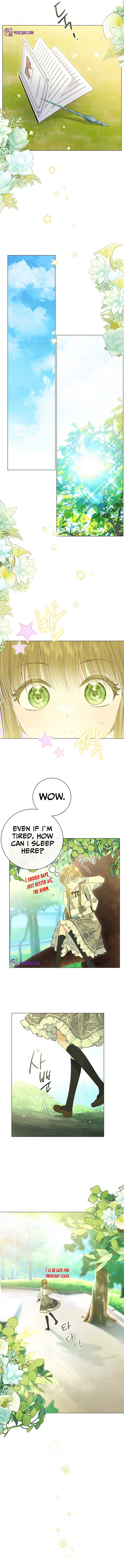 chap 7 2