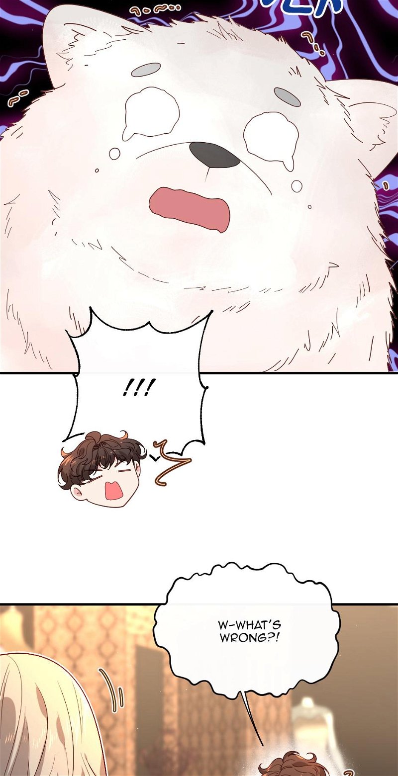chap 11 14