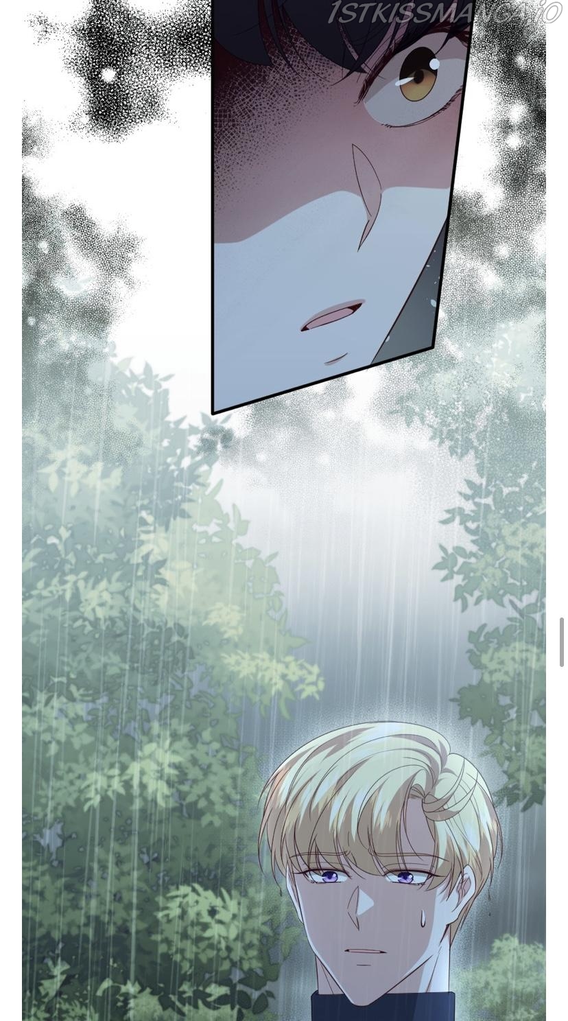 chap 49 35