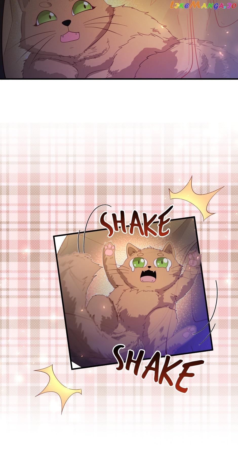 chap 55 14