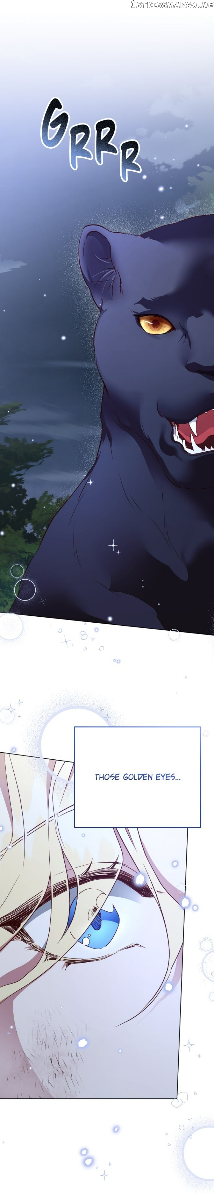 chap 11 6