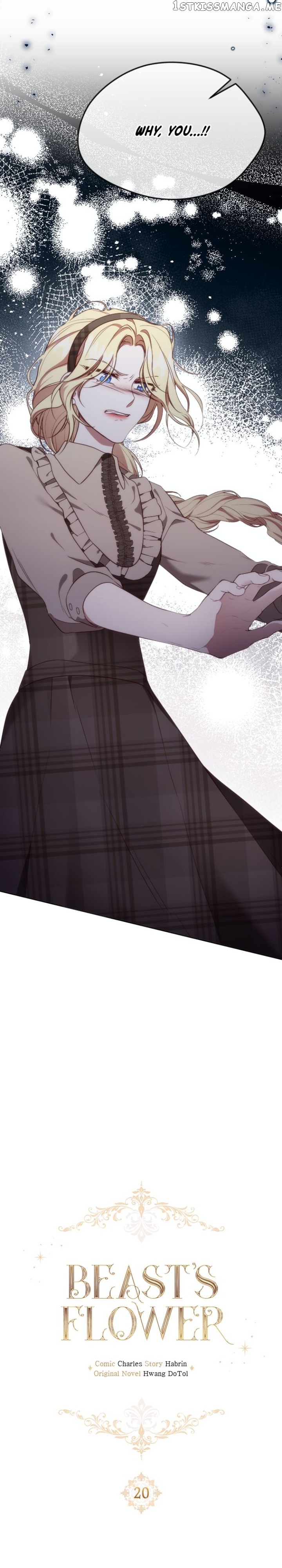 chap 19 2