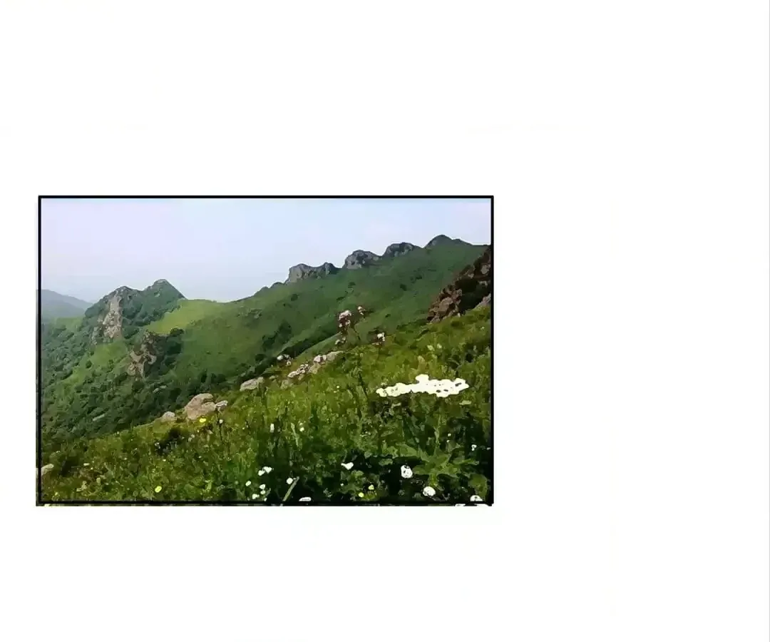af7a7bb1378c