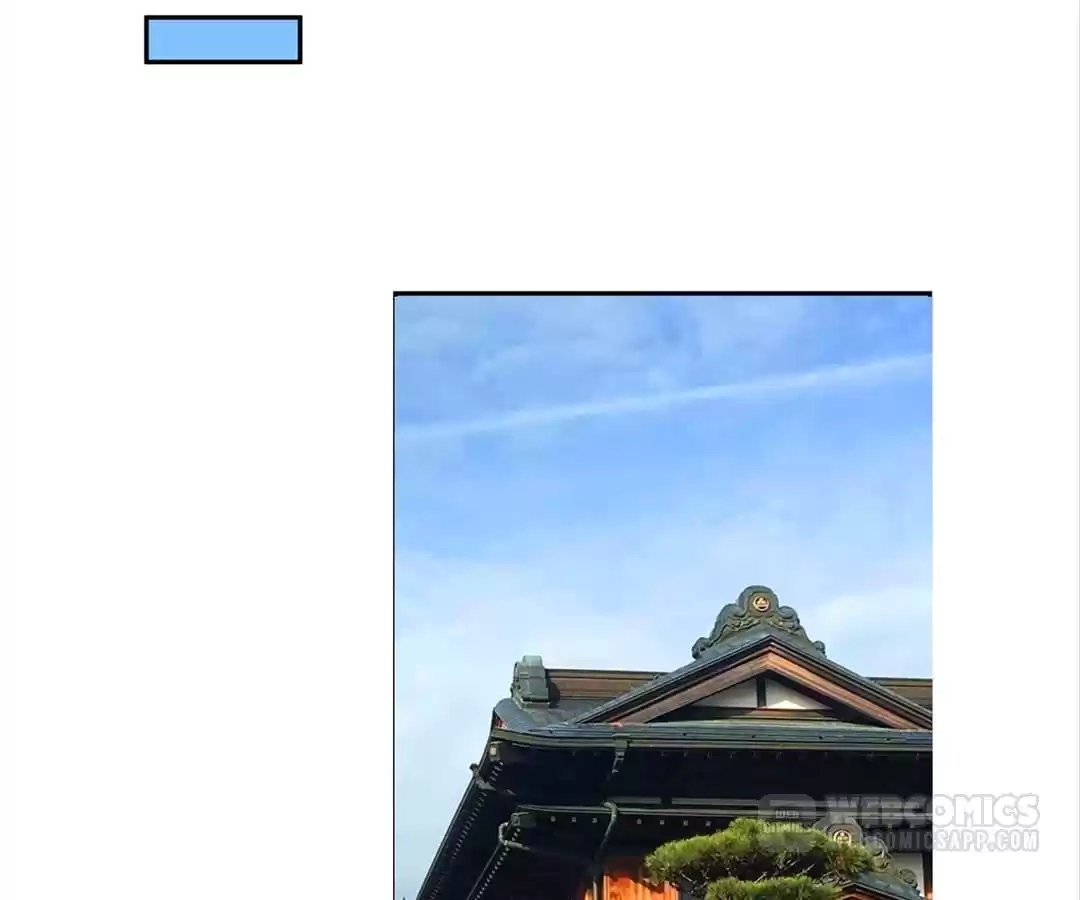 3213e186c28d