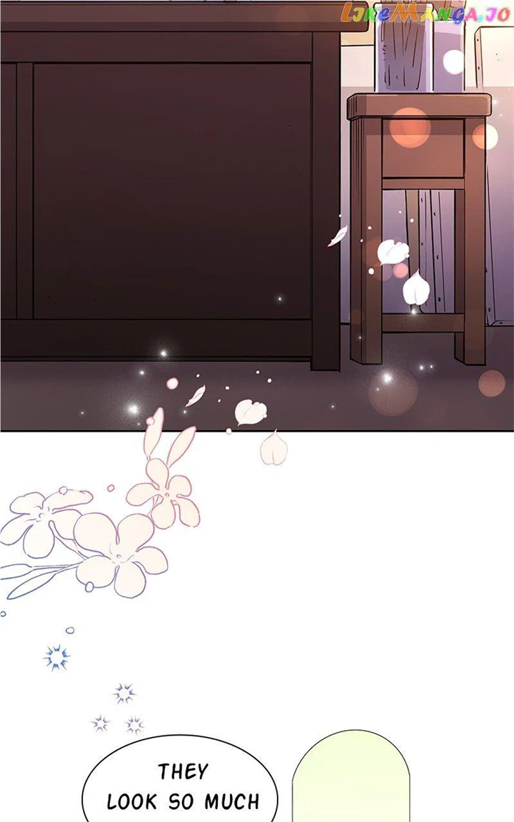 chap 91 52