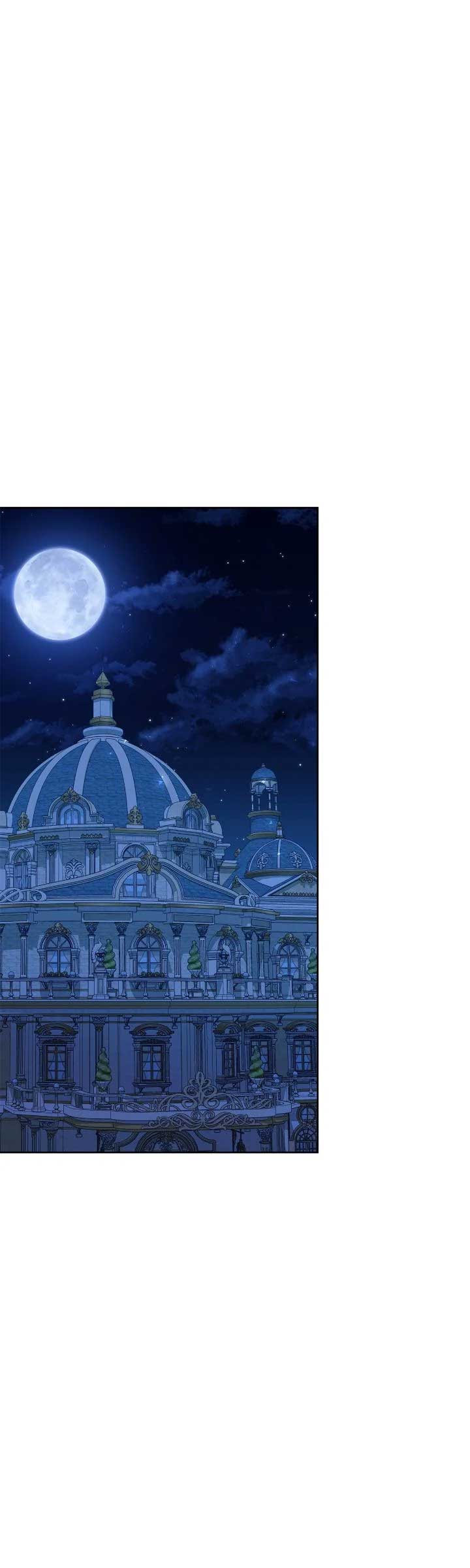 I Captured The Tyrant’s Heart Chapter 64 252 47