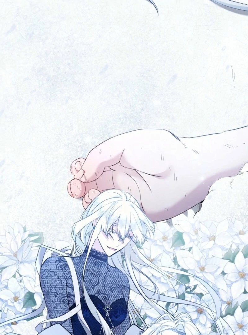 ch 101 13