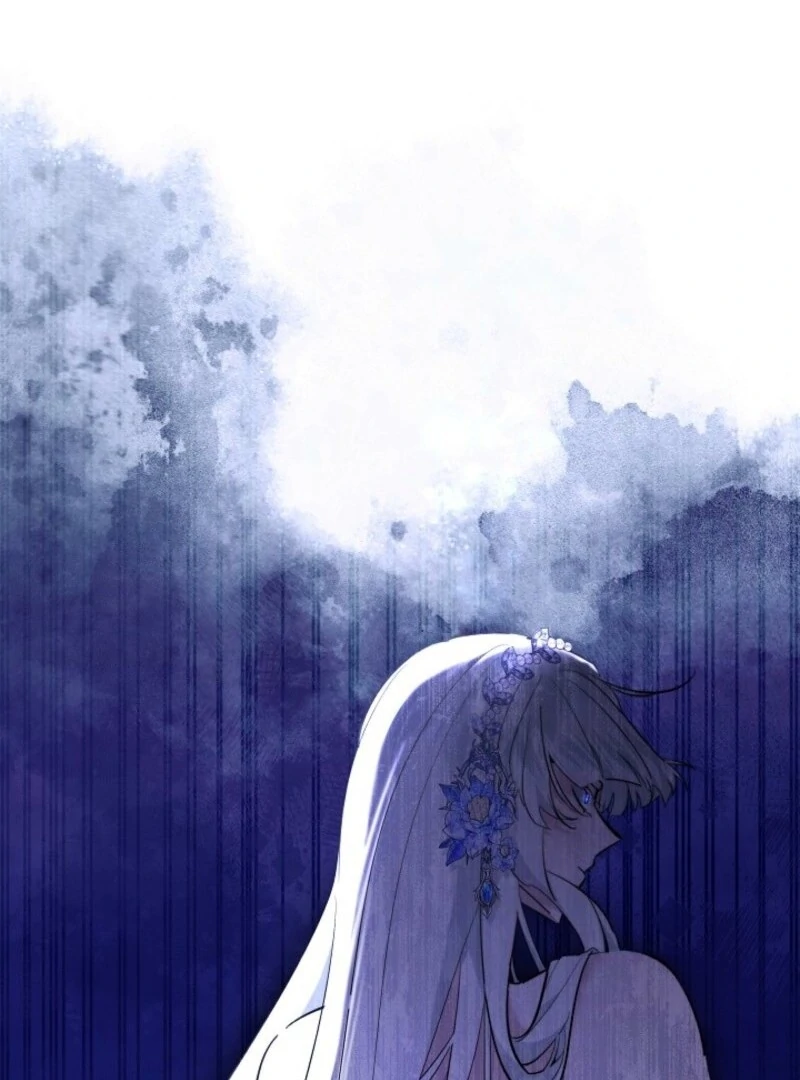 ch 101 24