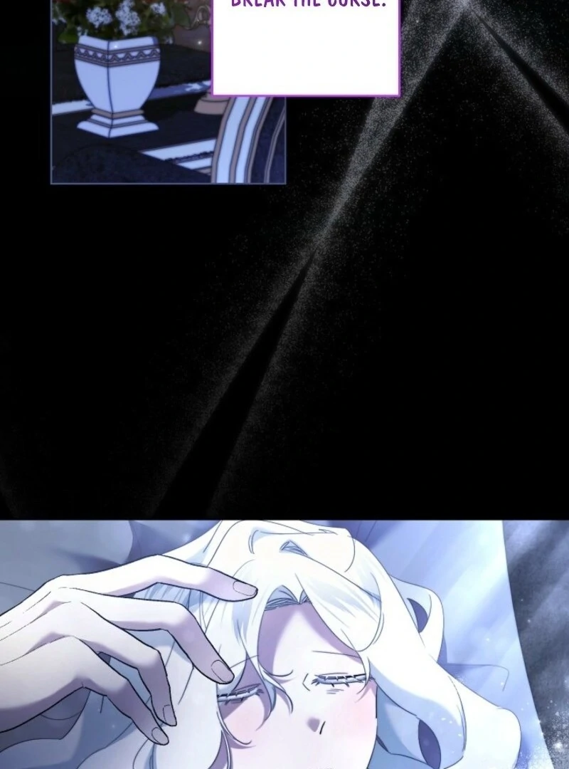 041