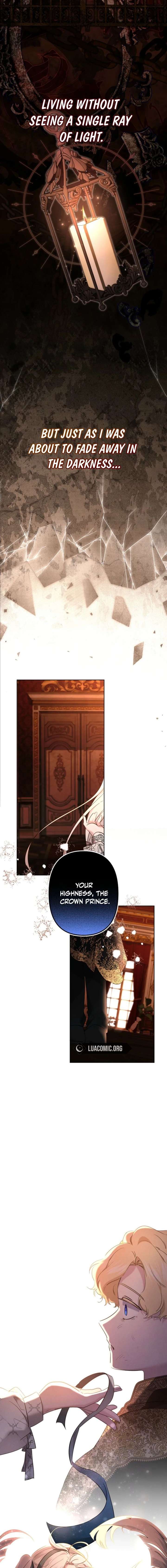 ch 141 3