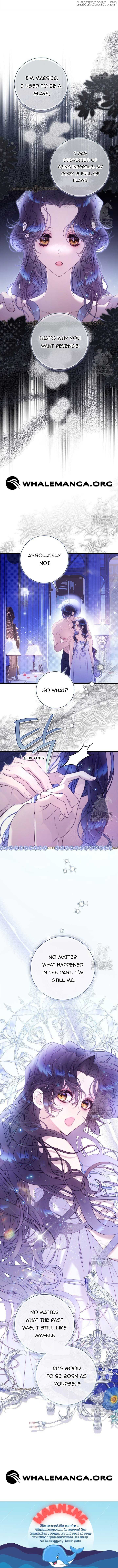 ch 146 15