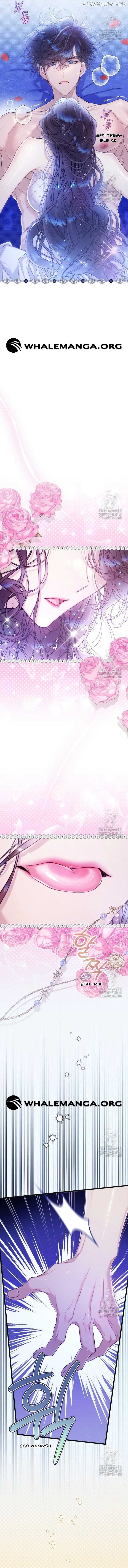 ch 146 2