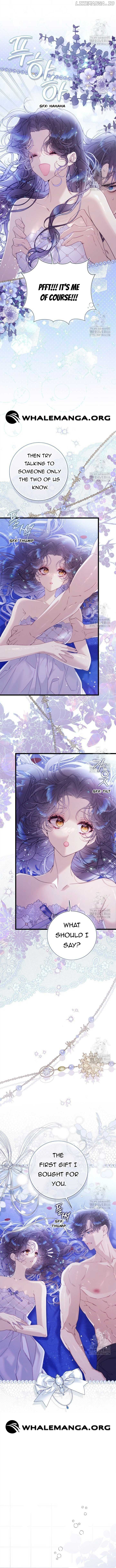 ch 146 4