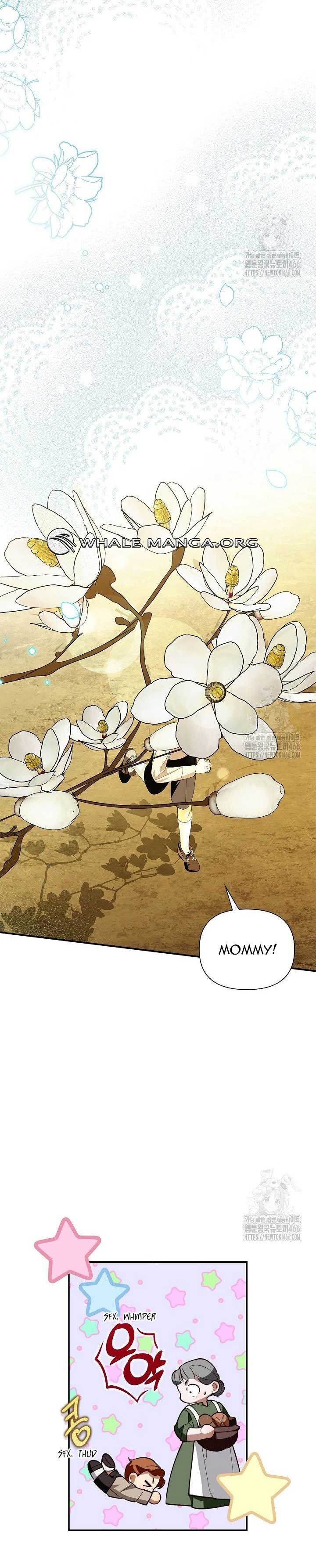 ch 113 29