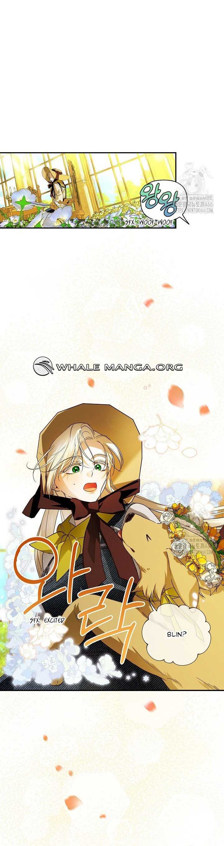 ch 113 33