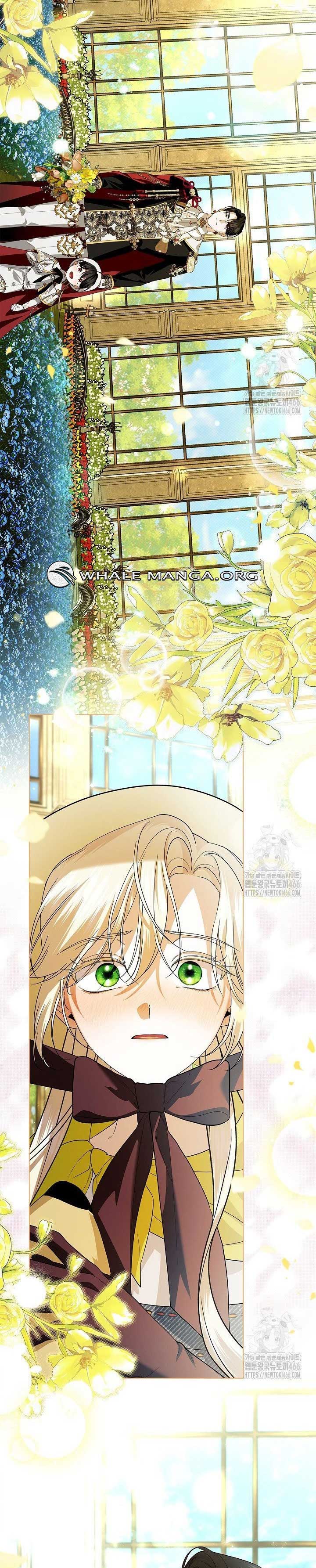 ch 113 35