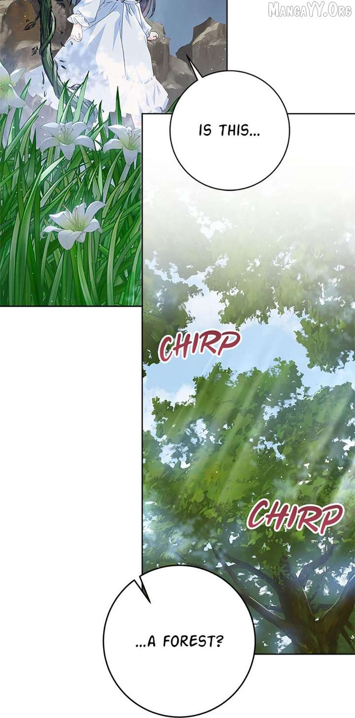 ch 94 98