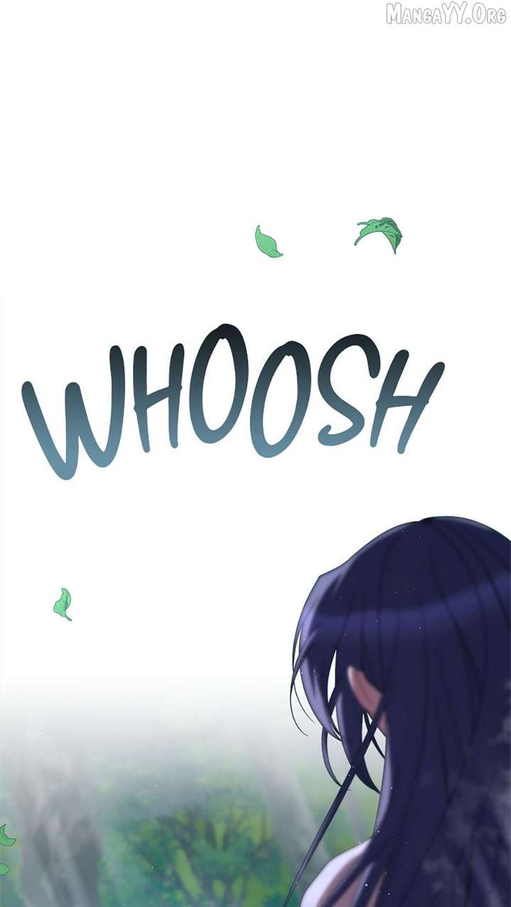 ch 95 1