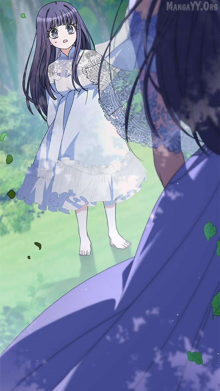 ch 95 2