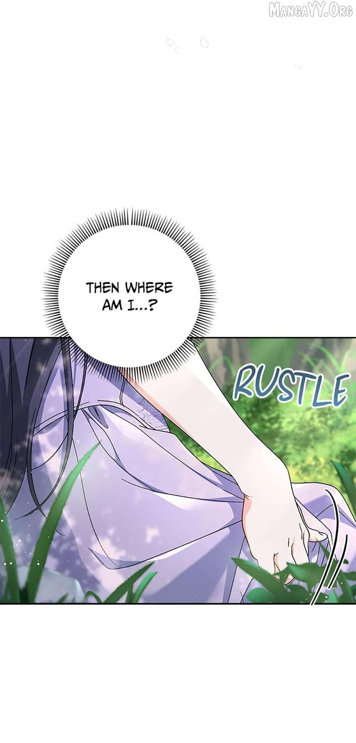 ch 95 23