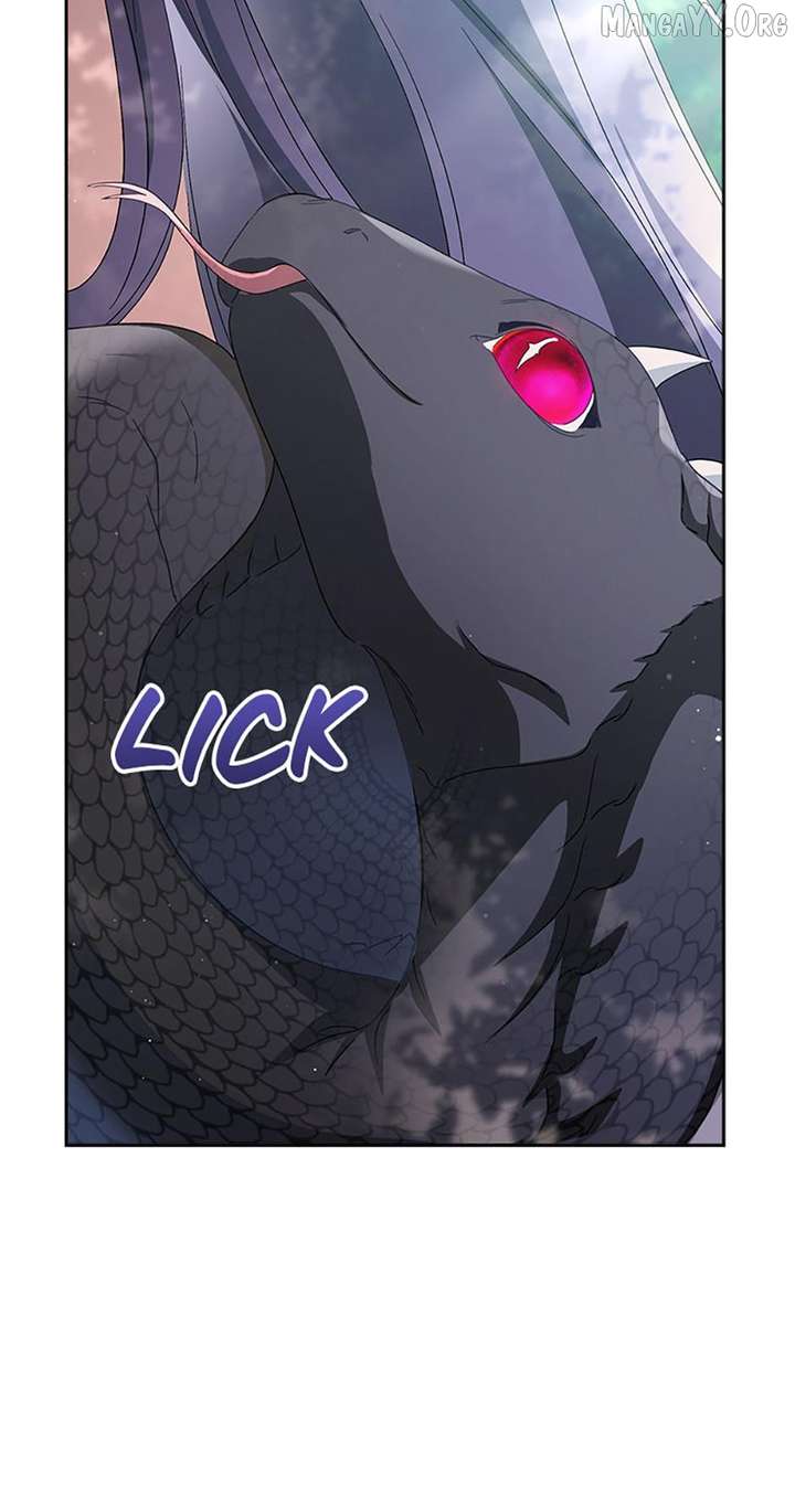 ch 95 26