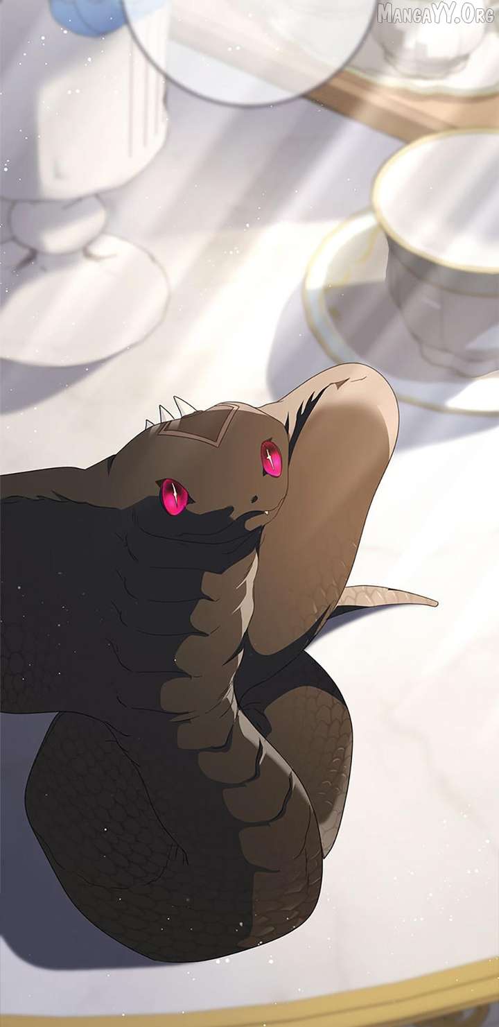 ch 95 59