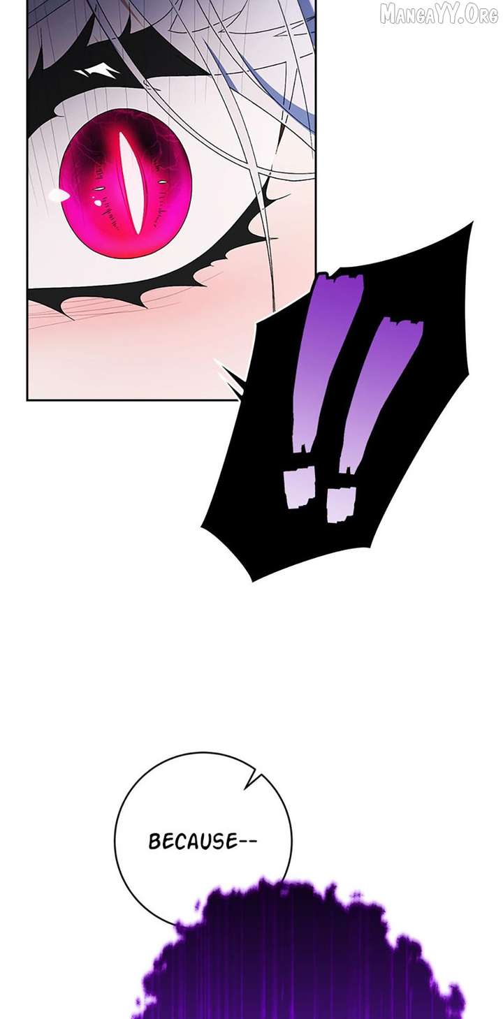 ch 95 81