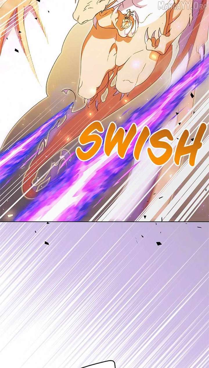 ch 96 57